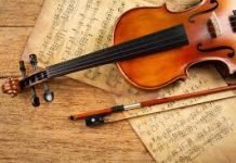 Violin