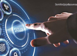 Essential skills every professional should develop in 2025 for career growth